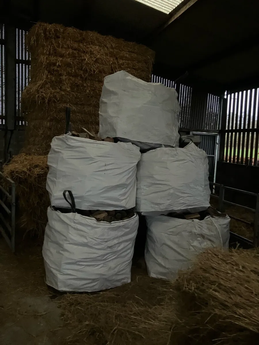 Seasoned ash timber - Image 2