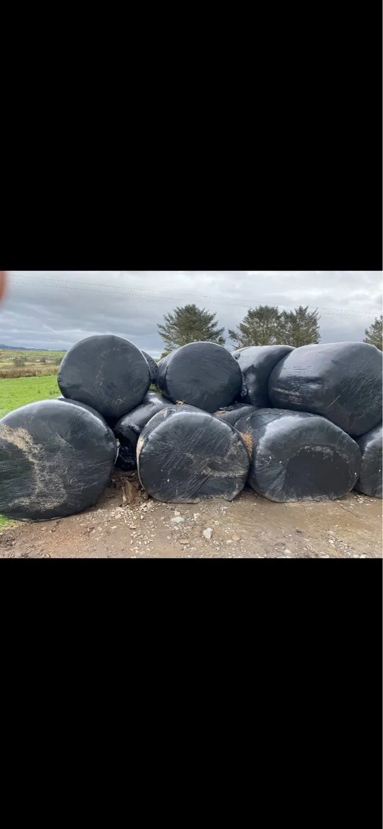 Silage bales