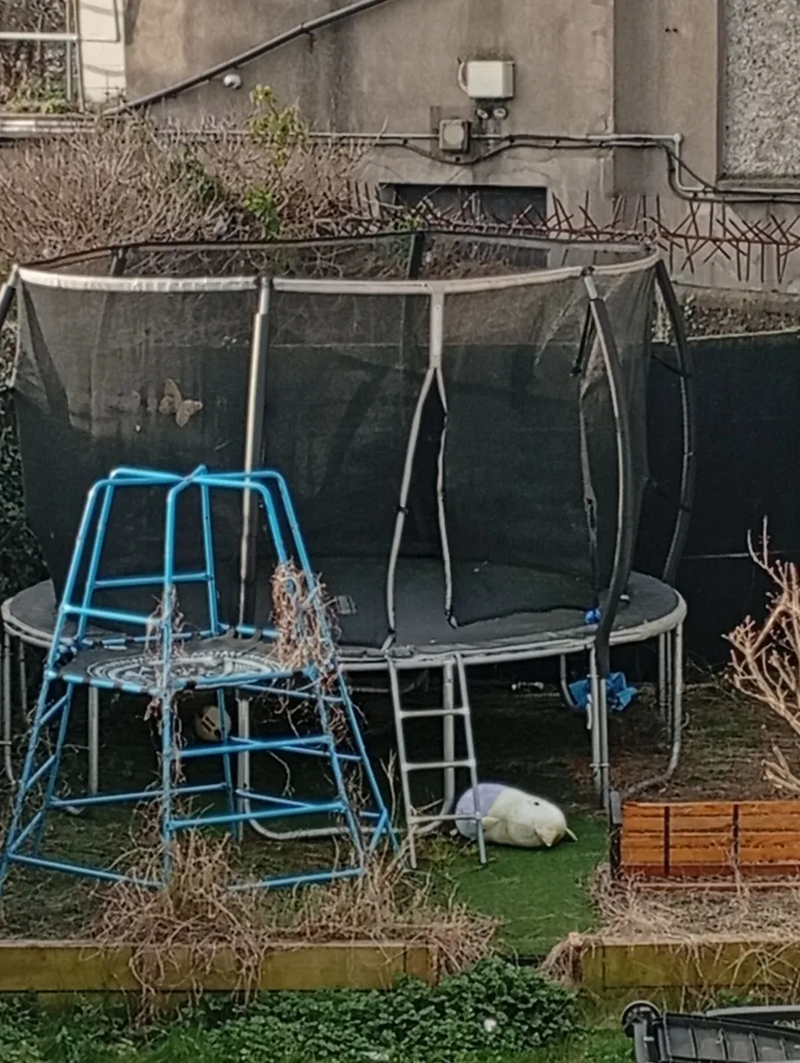 Trampoline - Image 1