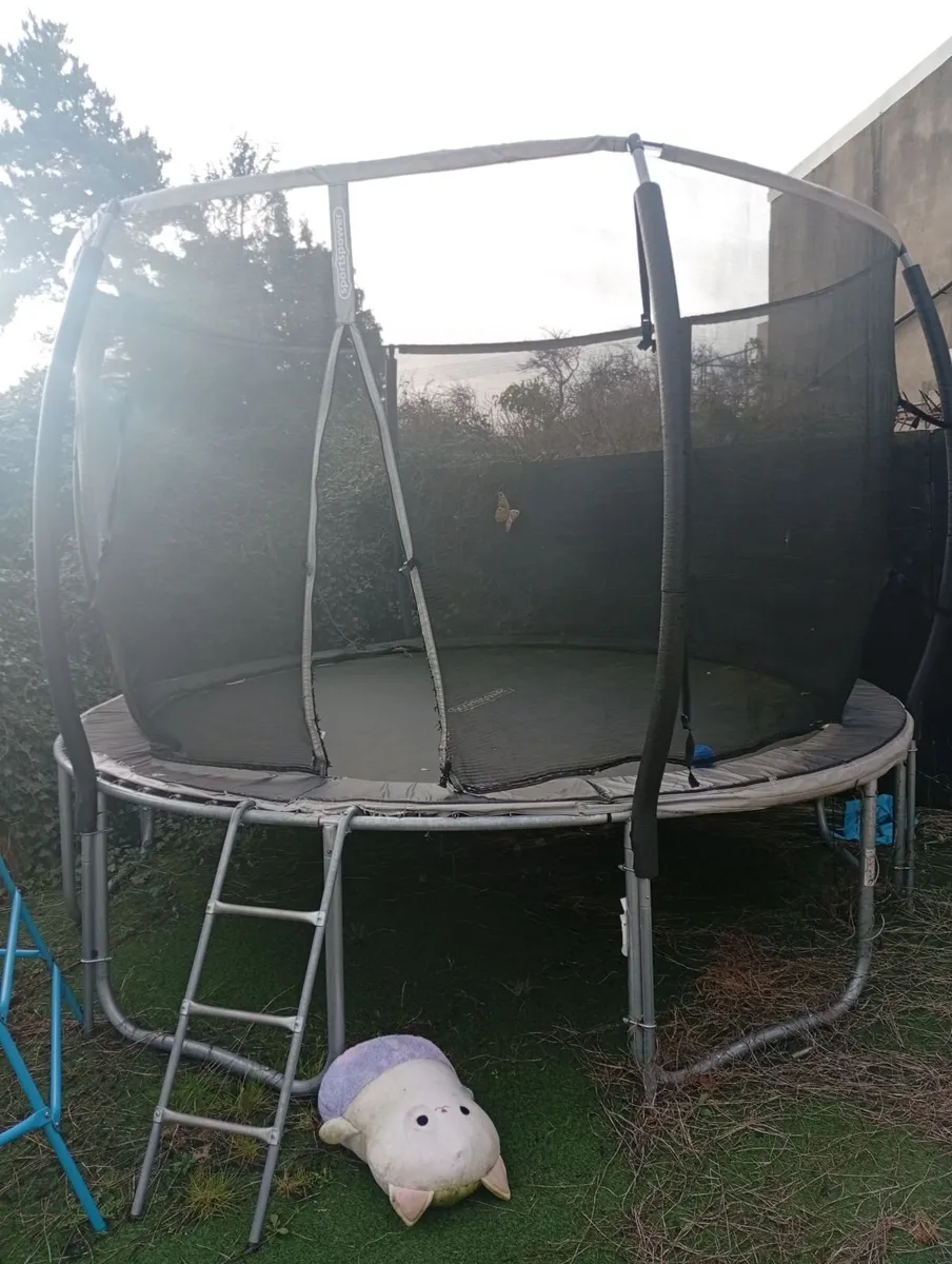Trampoline - Image 2