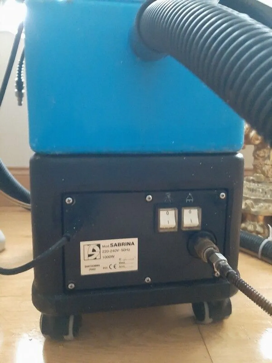 professional carpet cleaner - Image 2