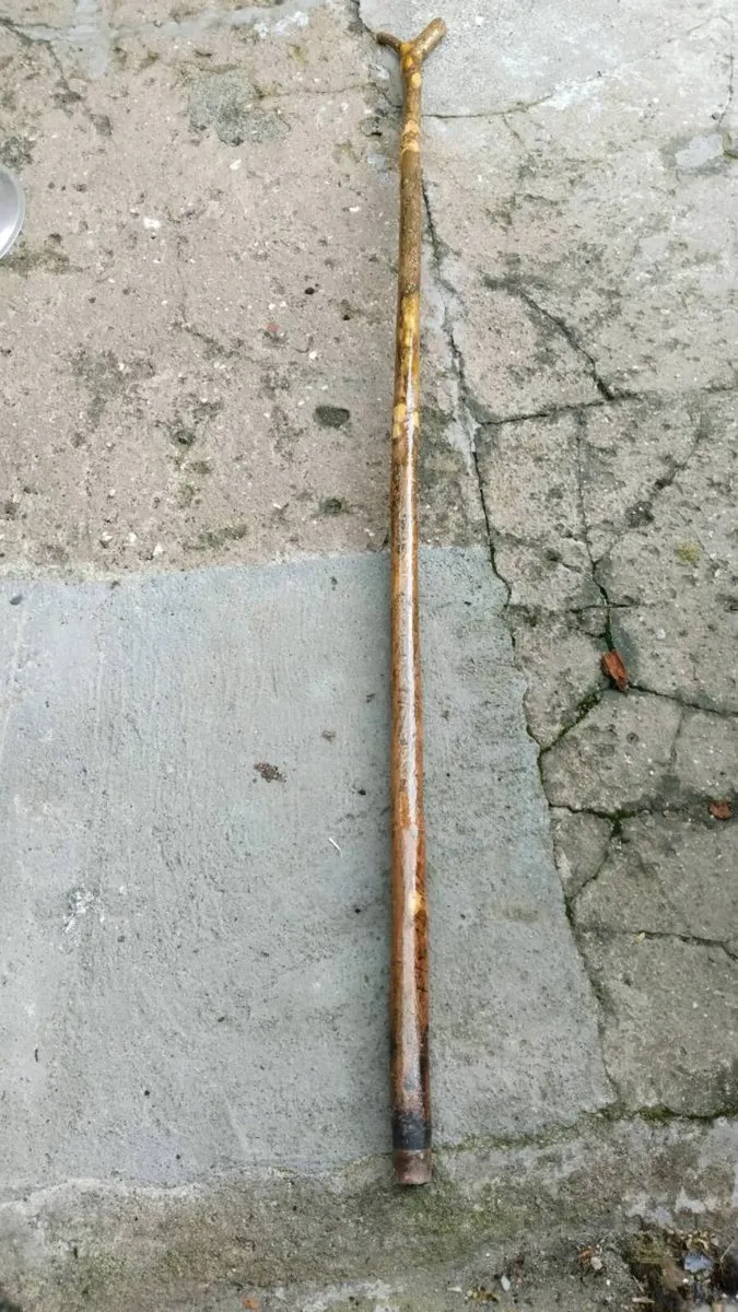 HOLLY rambling staff - Image 2