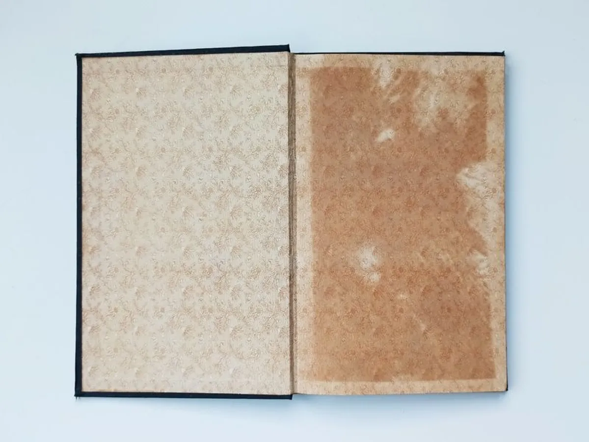 Antique book "The Campbell College register, 1894 to 1927" hardcover   1927 Belfast - Image 2