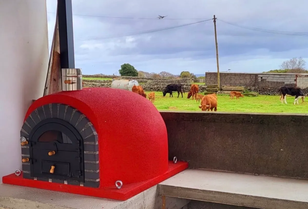Tevira Clay Interior Wood Fired Oven - Image 4
