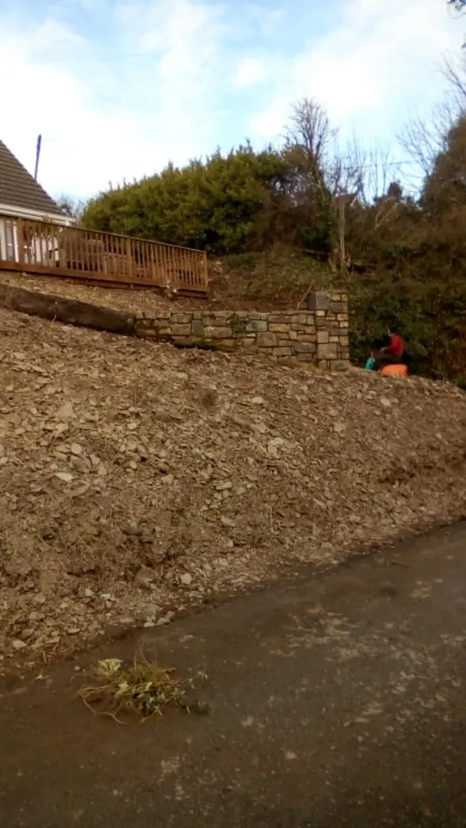 Diggers with drivers all work carried out - Image 2