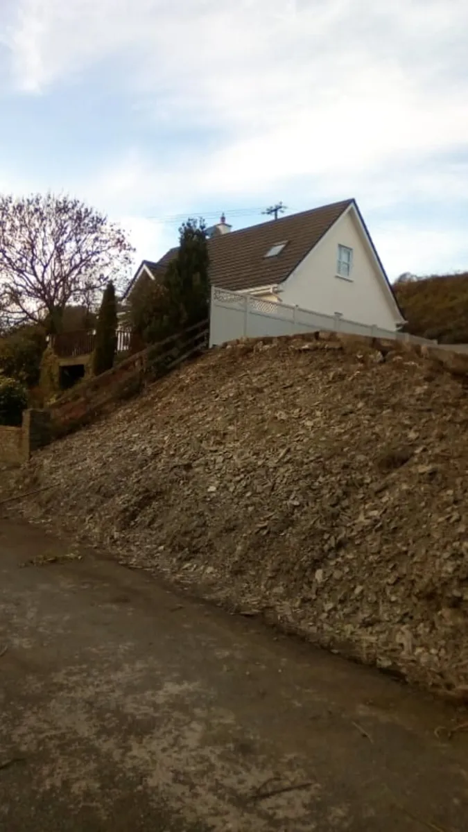 Diggers with drivers all work carried out - Image 1