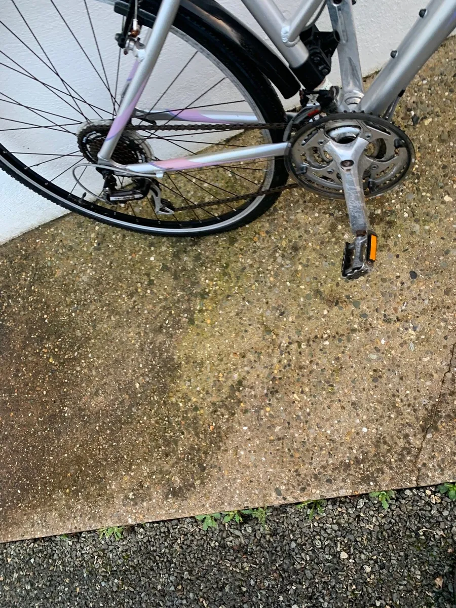 Giant Ladies Bike - Image 3