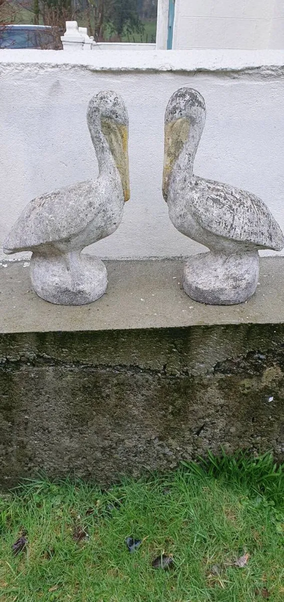 Concrete pelican - Image 4