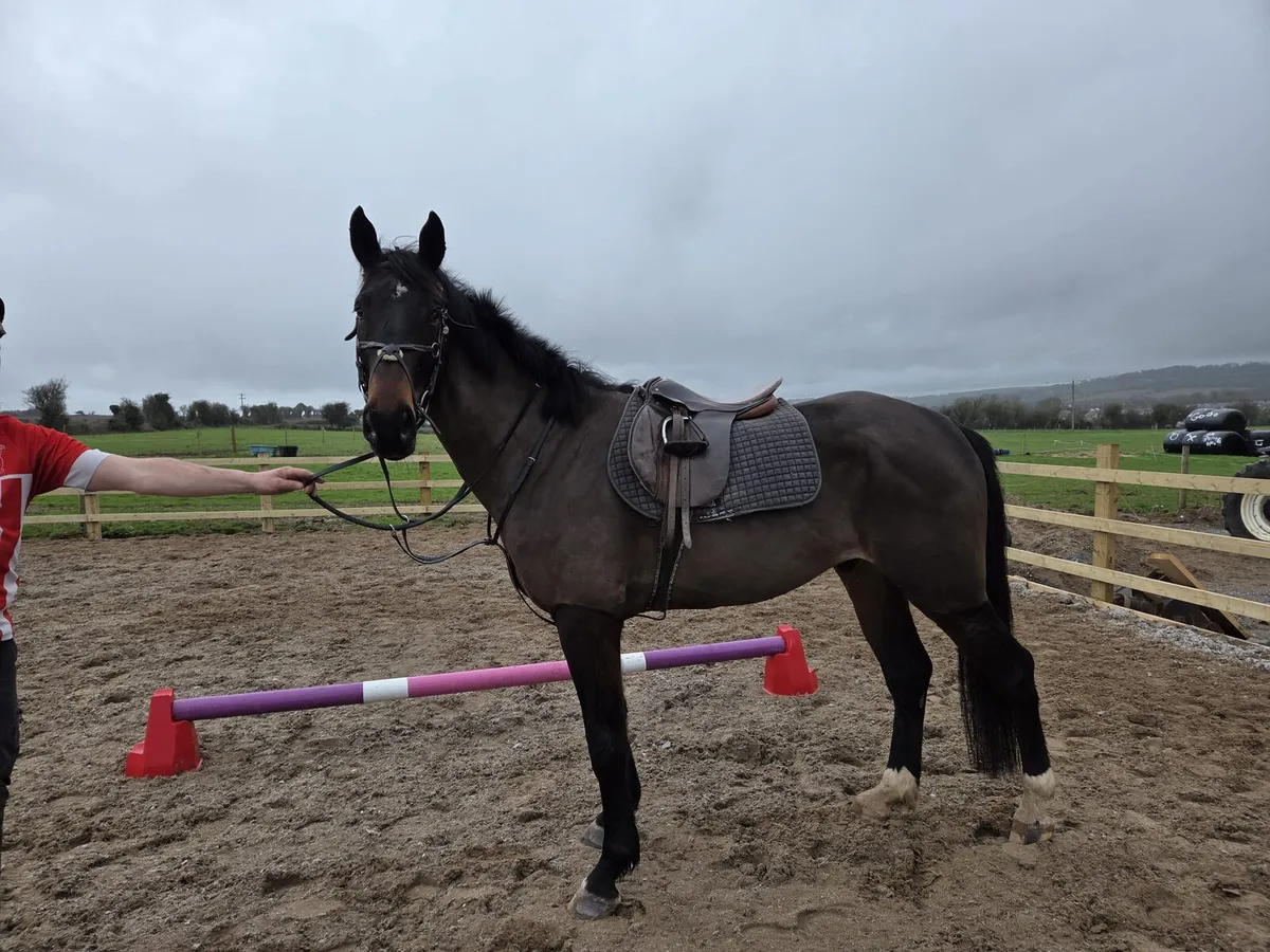 Lot 468 goresbrige 6th mar - Image 1