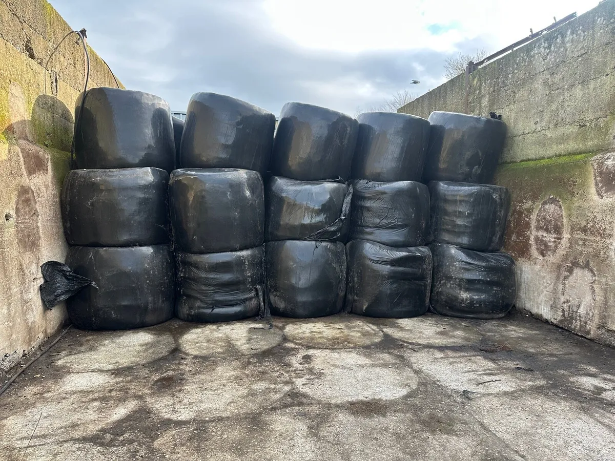 Silage Bales - Image 1