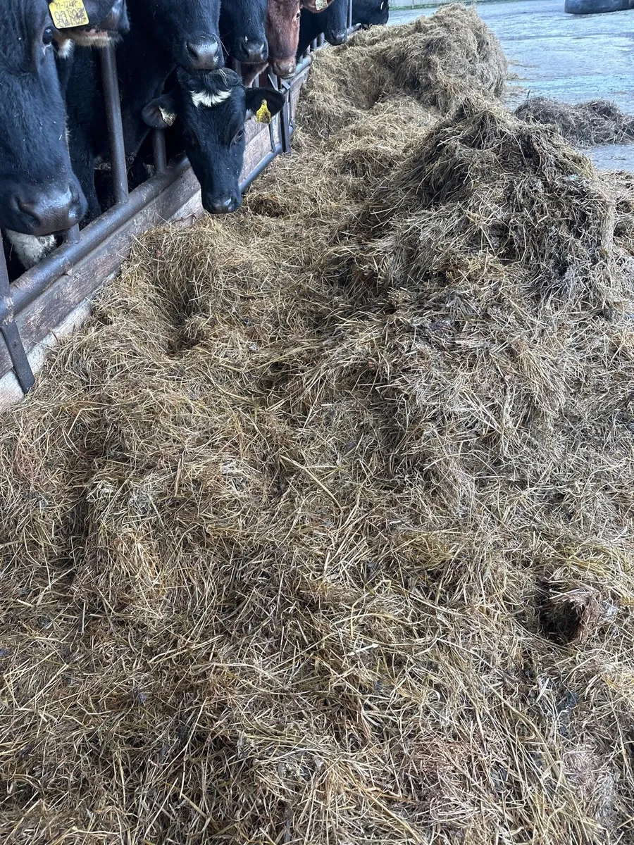 Silage Bales - Image 2