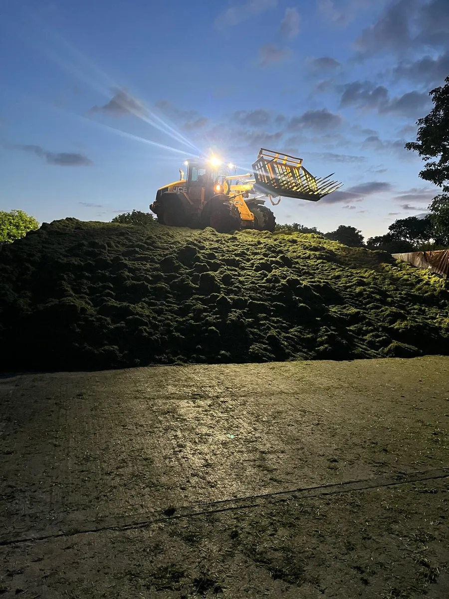 1st cut Pit 76DMD - Image 1