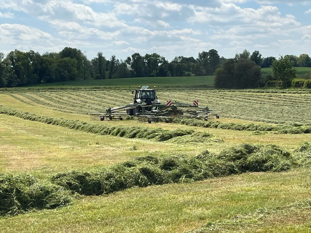 1st cut Pit 76DMD - Image 2