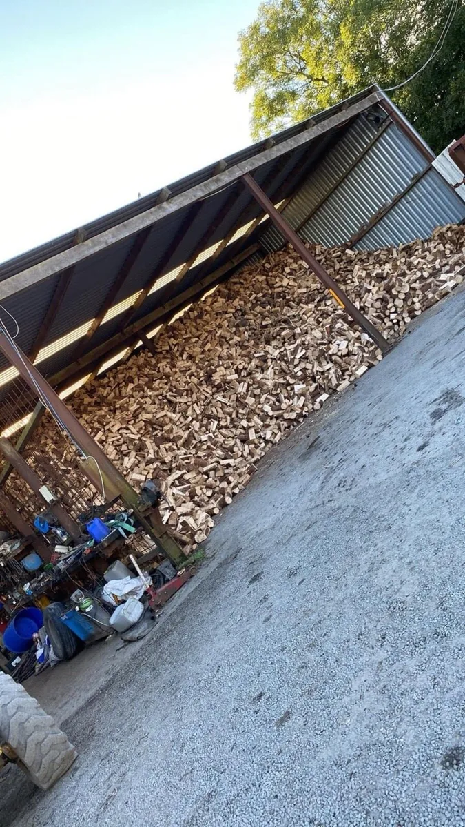 Larch firewood - Image 3