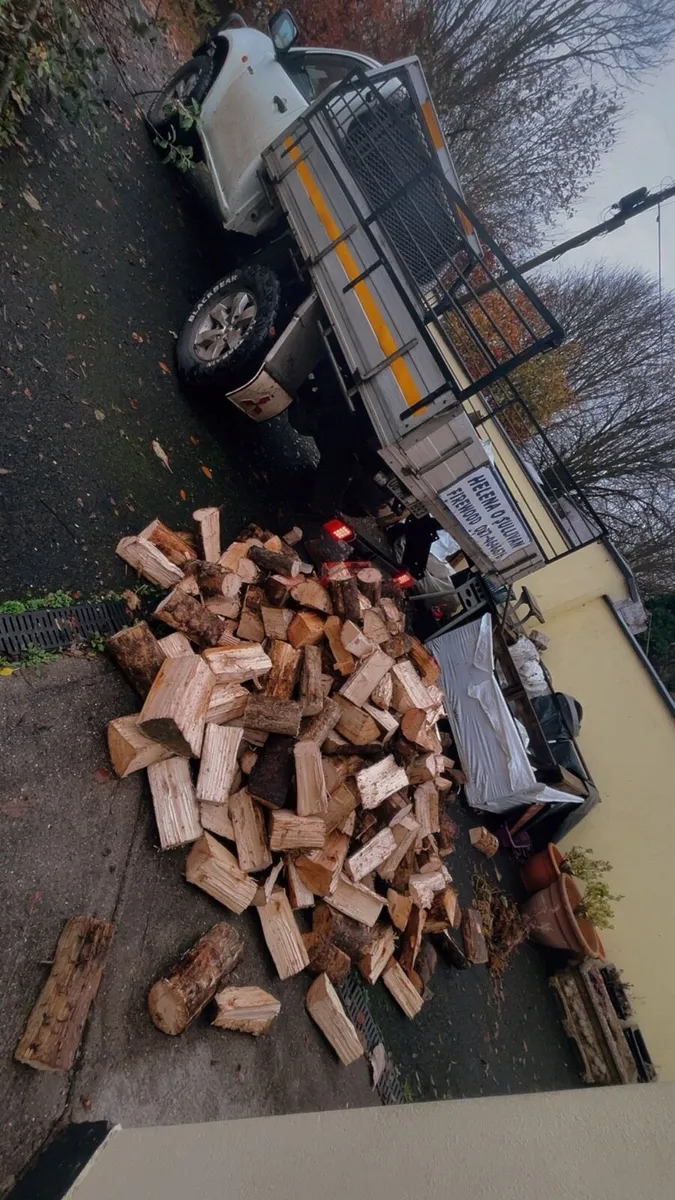 Larch firewood - Image 4