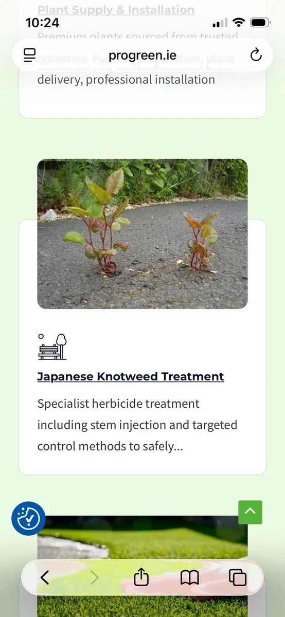 Plants supply and Installation - Image 3