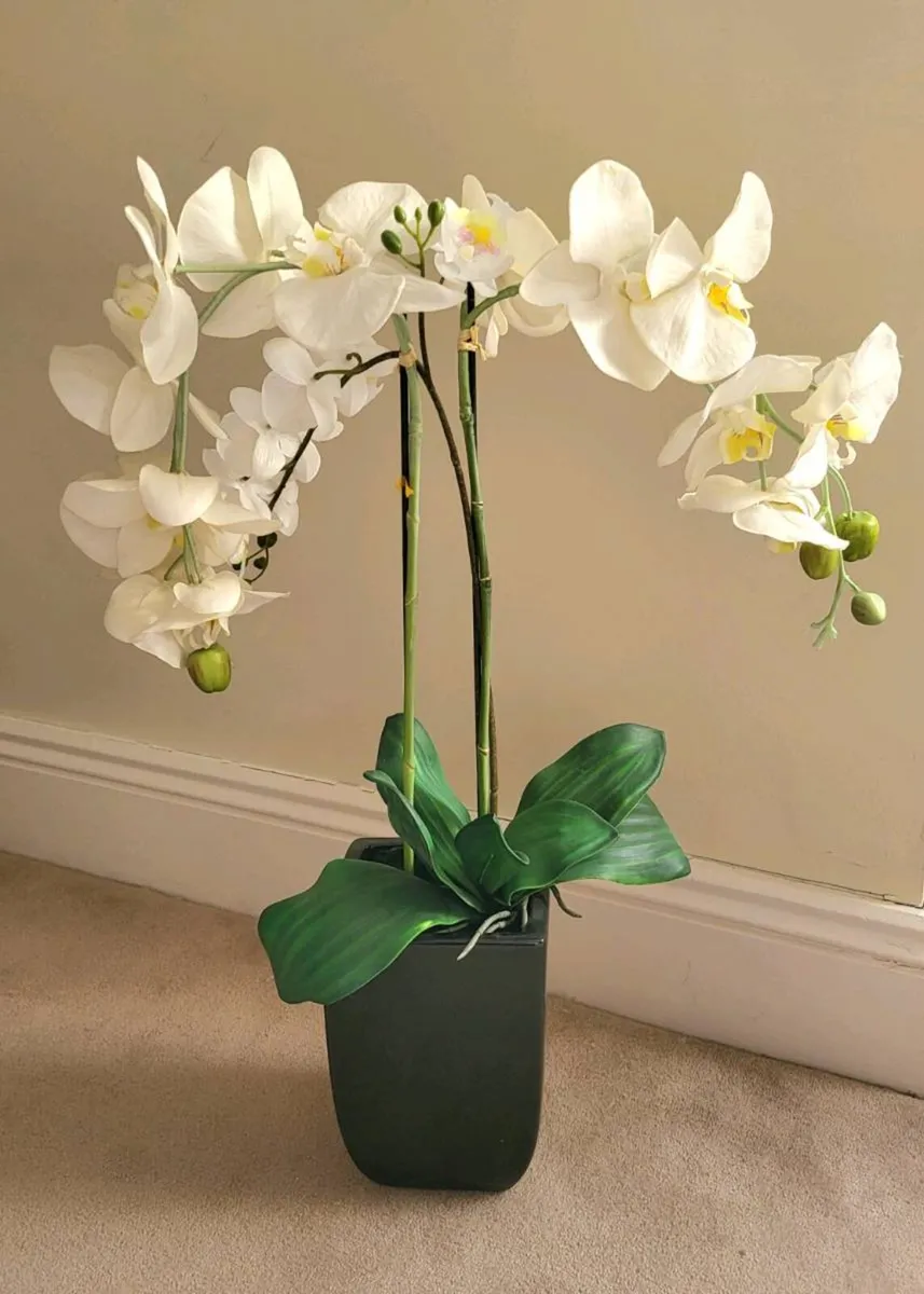 Artificial Orchid plant