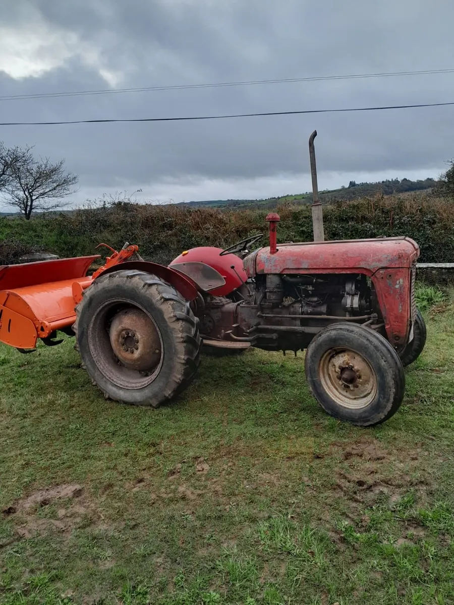 Massey Ferguson 35 & Pulper Blades - Image 2