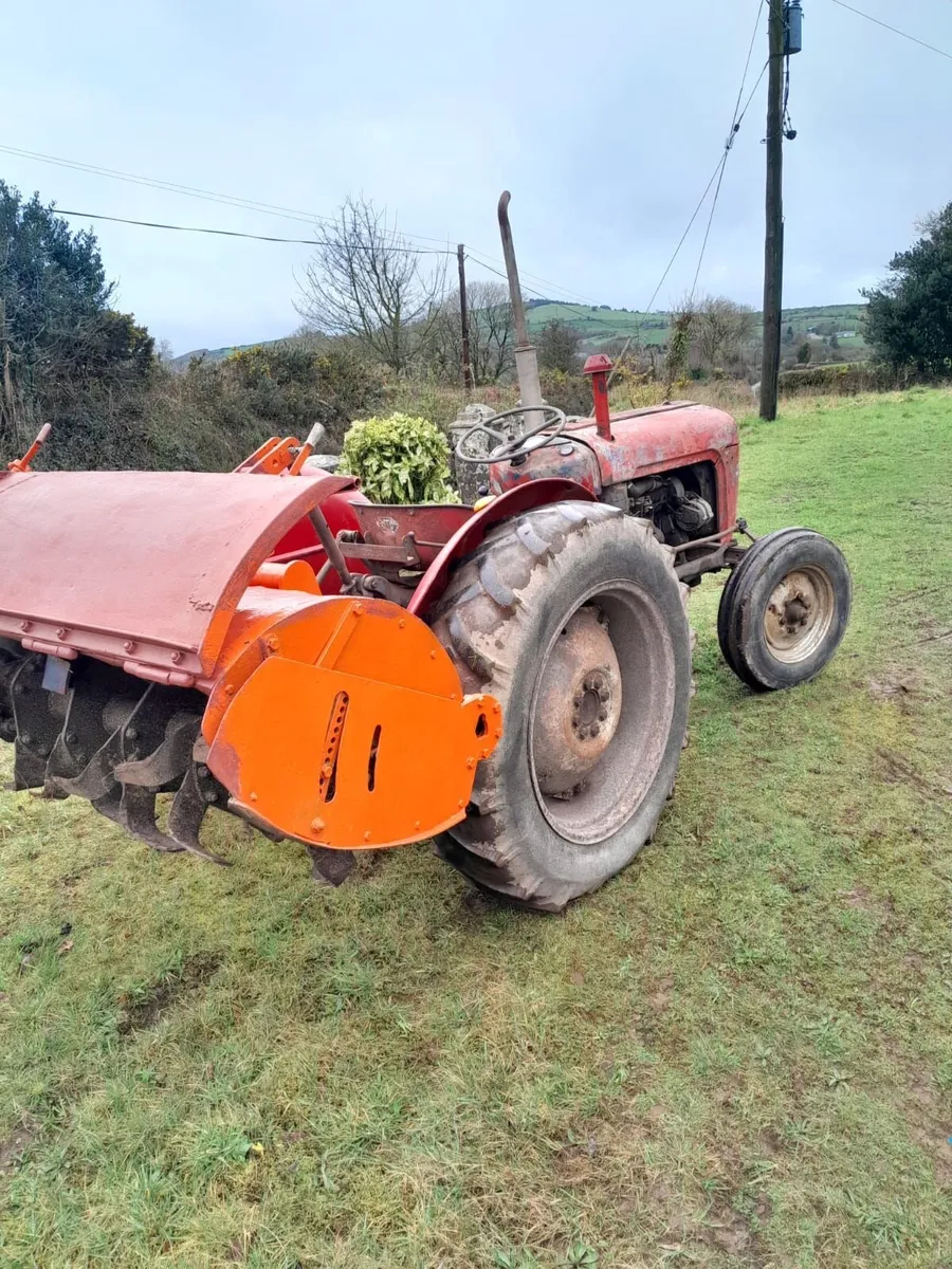 Massey Ferguson 35 & Pulper Blades - Image 4