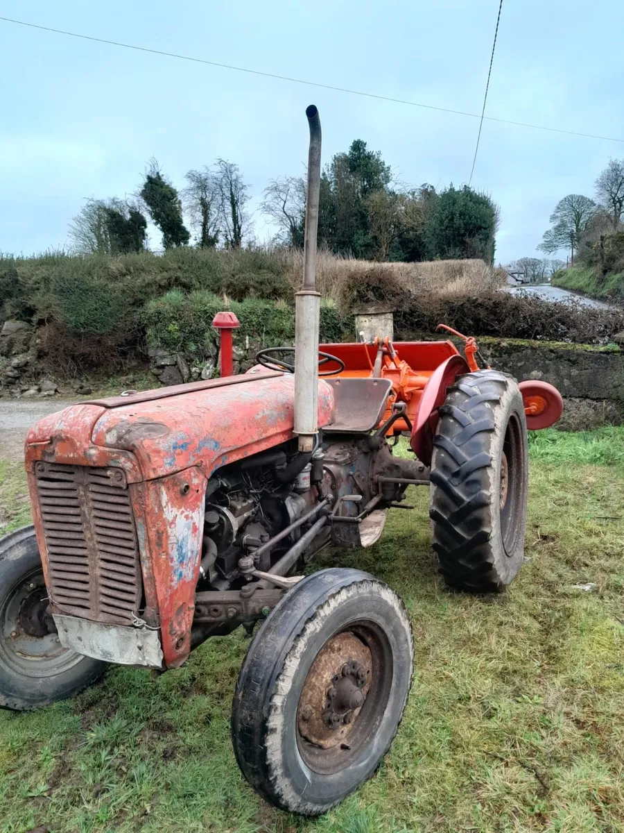 Massey Ferguson 35 & Pulper Blades - Image 3