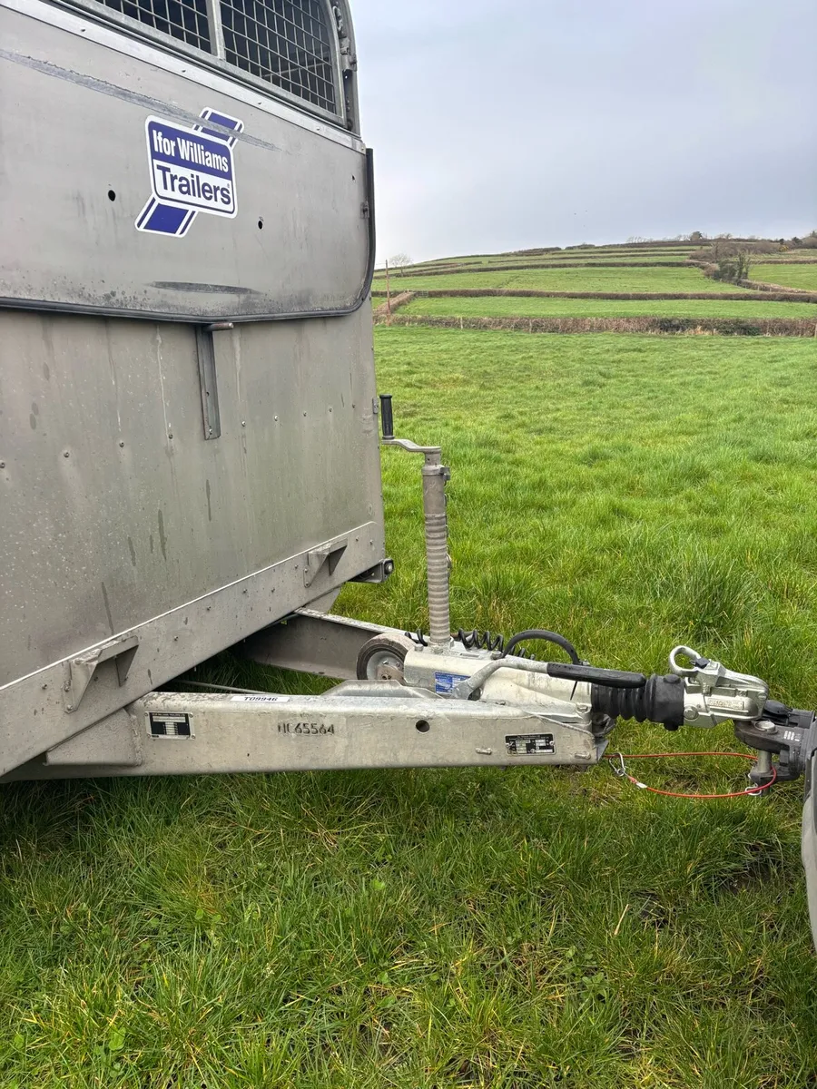 2023 Ifor williams 14x6 cattle box - Image 3