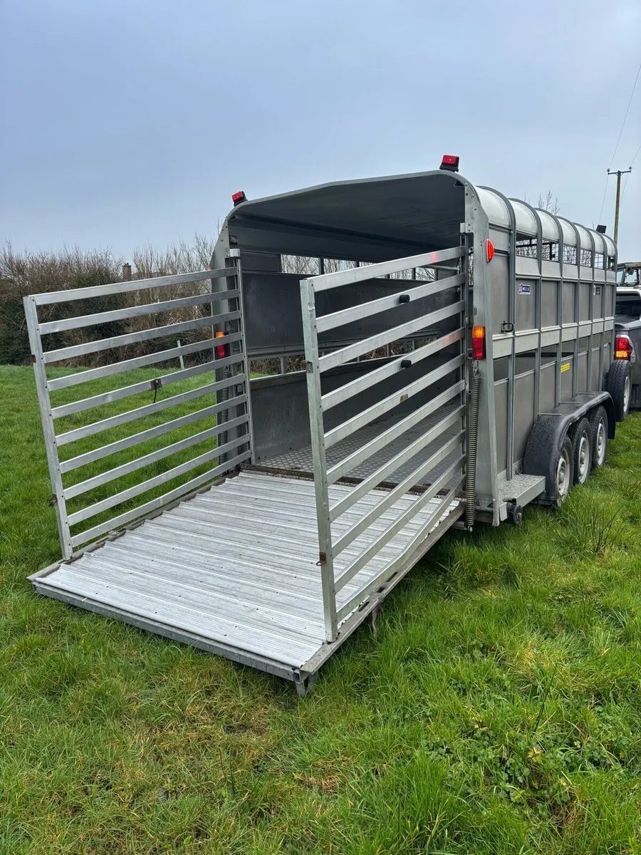 2023 Ifor williams 14x6 cattle box - Image 4