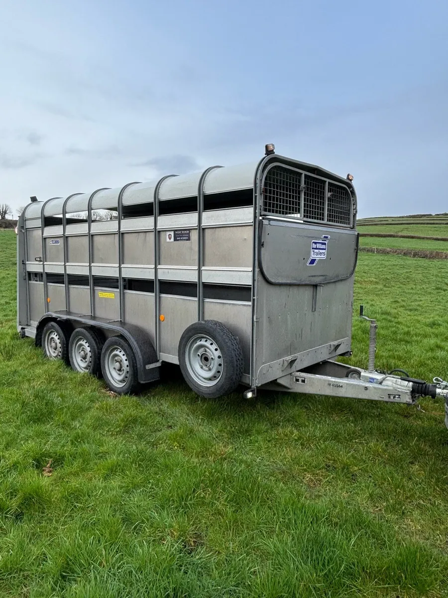 2023 Ifor williams 14x6 cattle box - Image 1