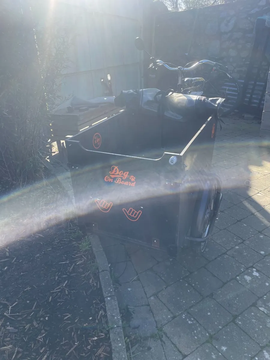 cargo bike - Image 1