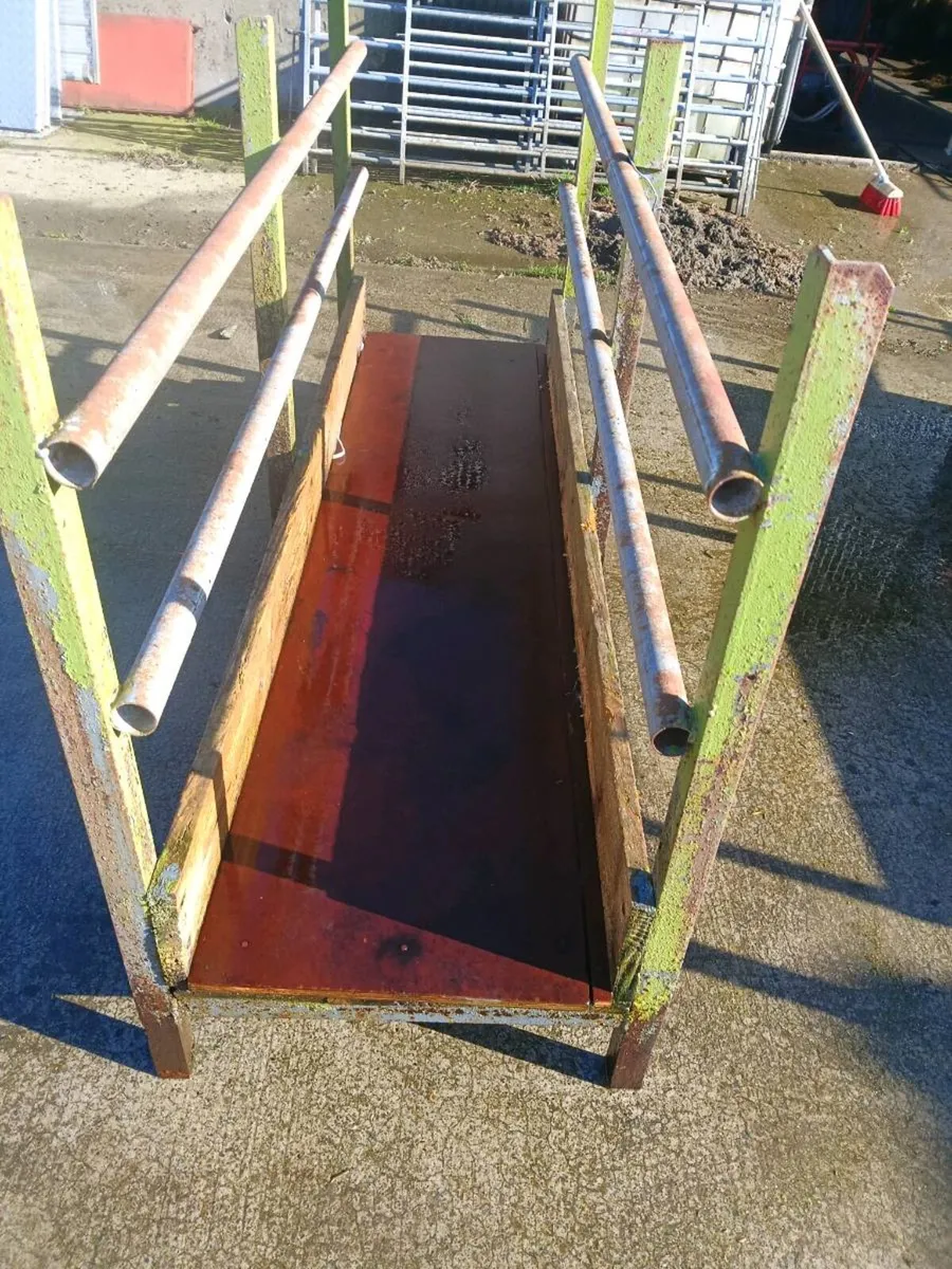 Walk through sheep feeders - Image 3