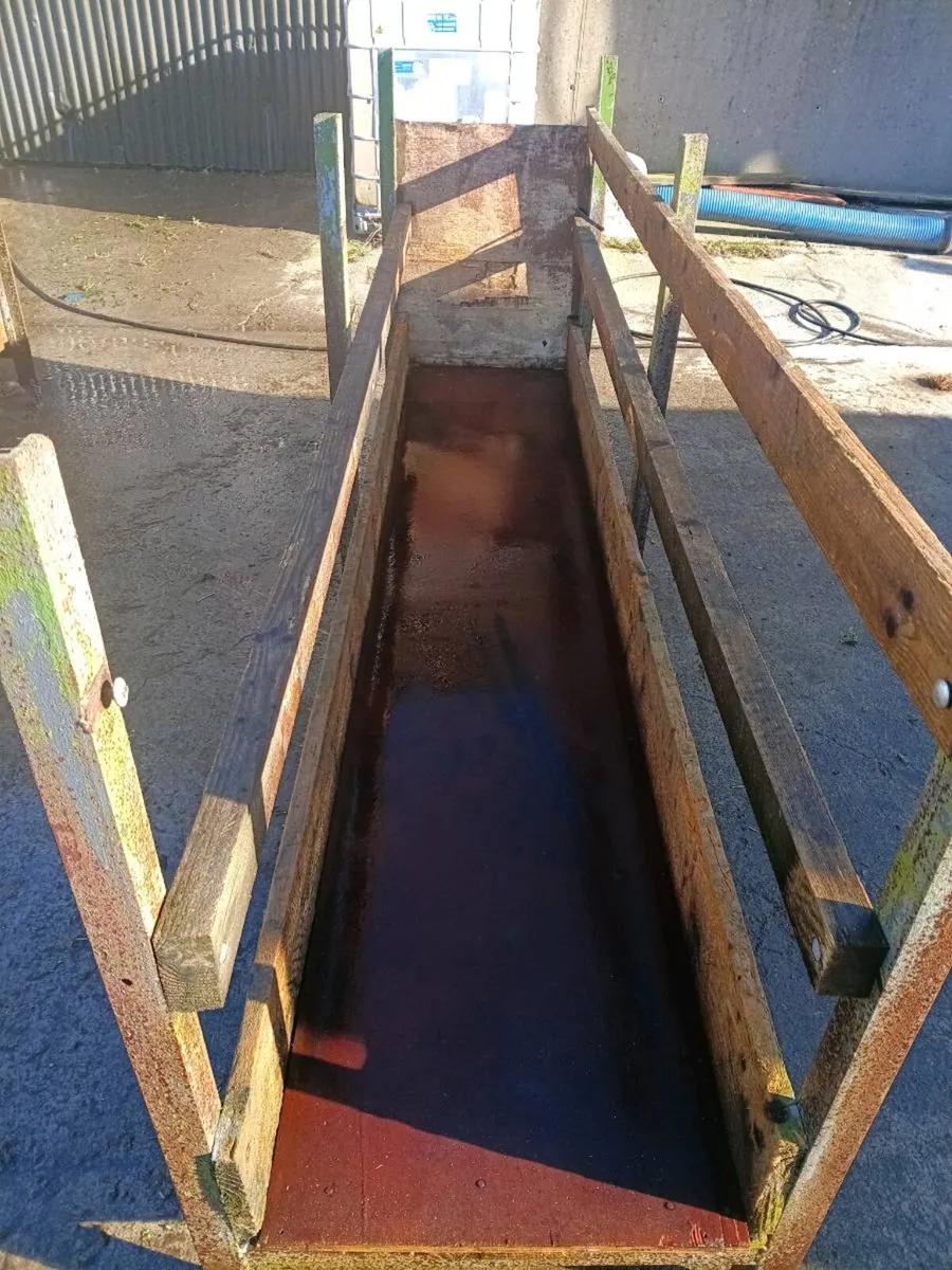 Walk through sheep feeders - Image 4