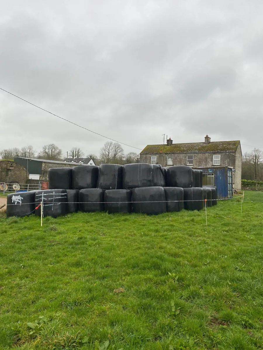 Silage bales - Image 2