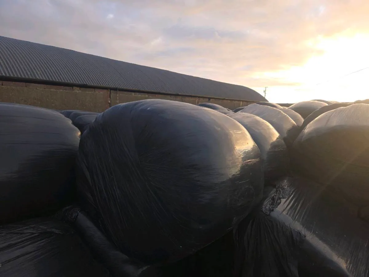 Silage Bales - Image 2