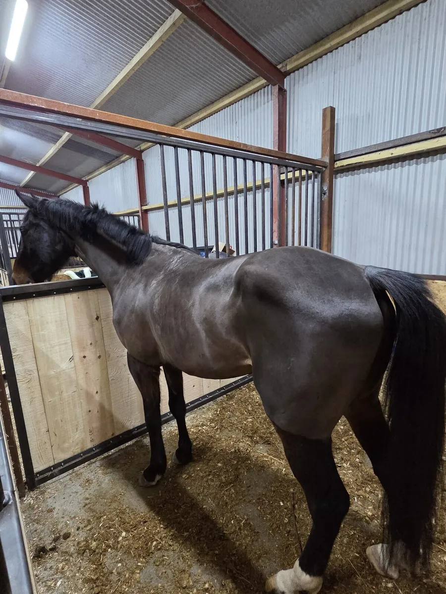 Lot 468 goresbrige 6th mar - Image 2