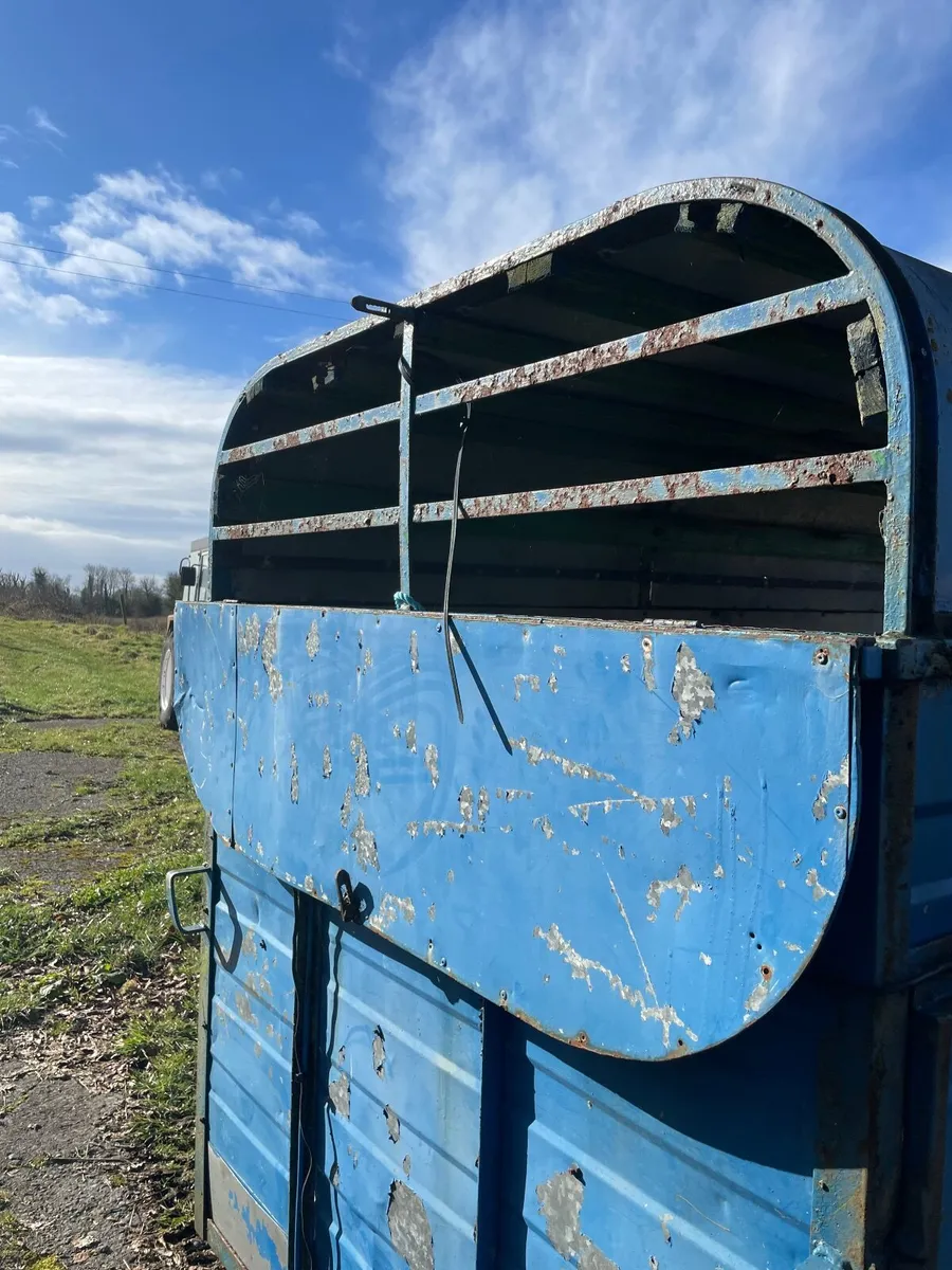 Trailer - Cow Box - Image 2
