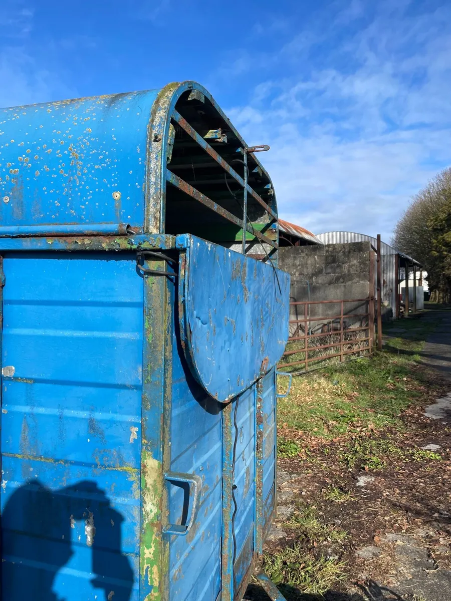 Trailer - Cow Box - Image 4