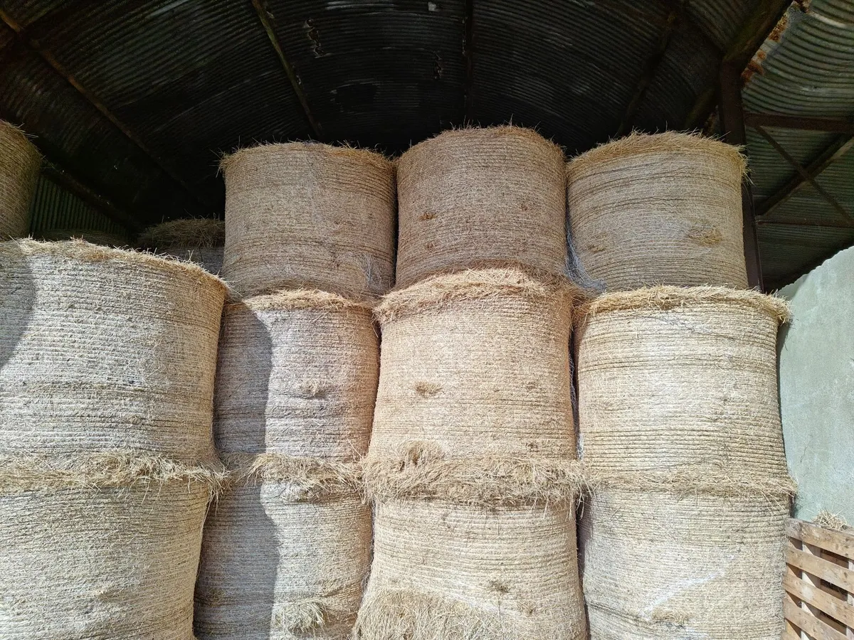 Hay and silage bales - Image 4