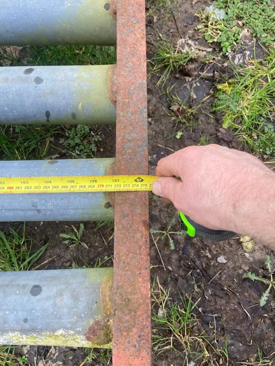 Cattle Grid - Image 3