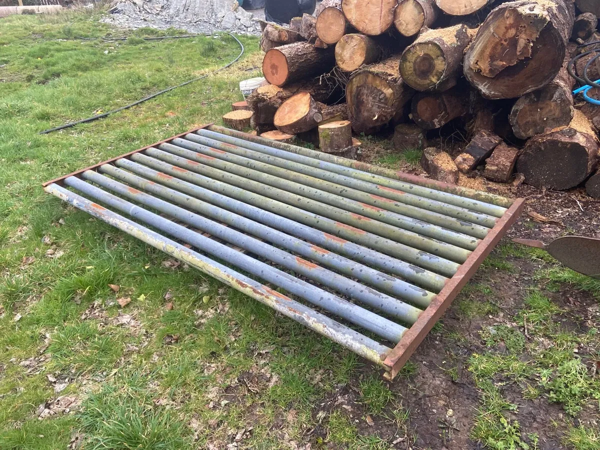 Cattle Grid - Image 1
