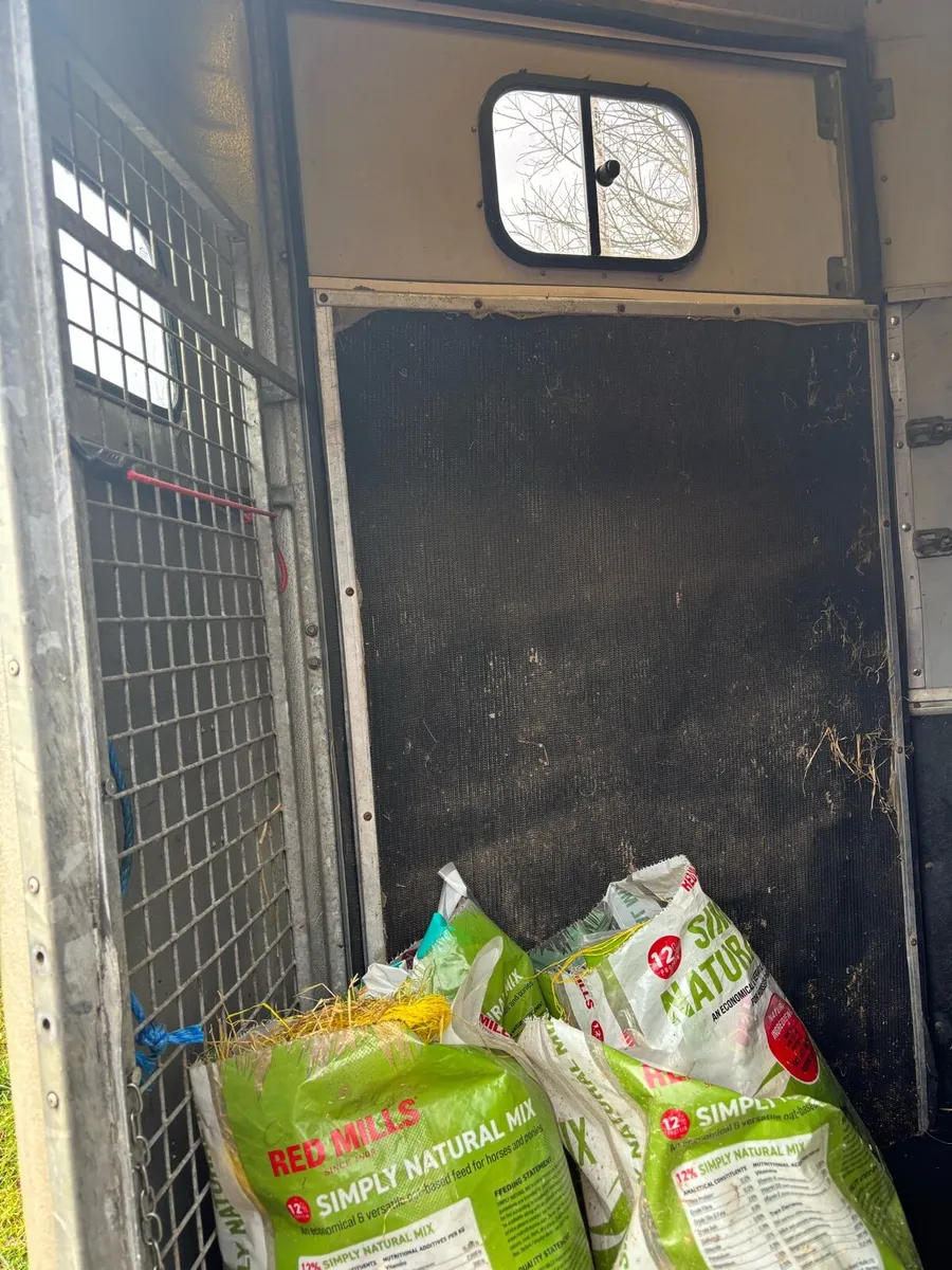 Horse box 505 - Image 3