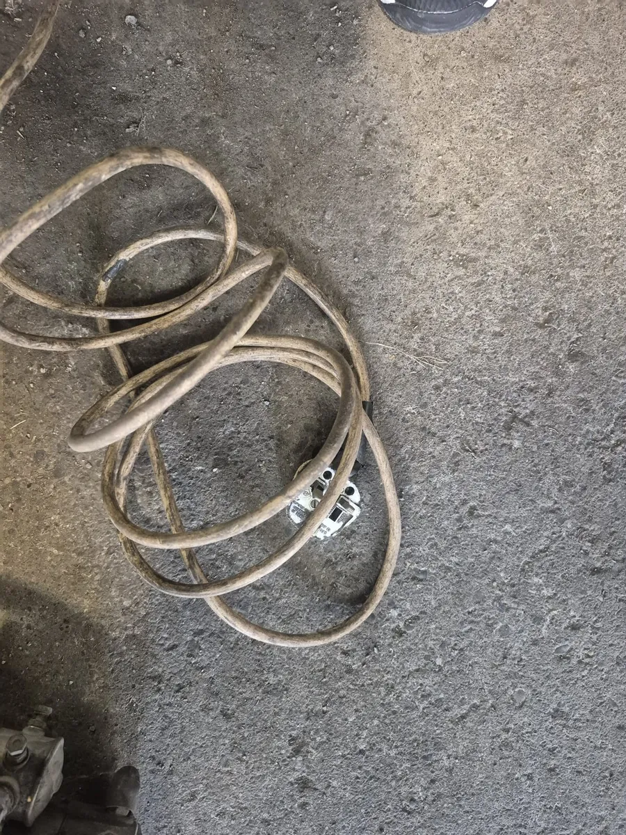 Wolf Vintage Drill - Image 2