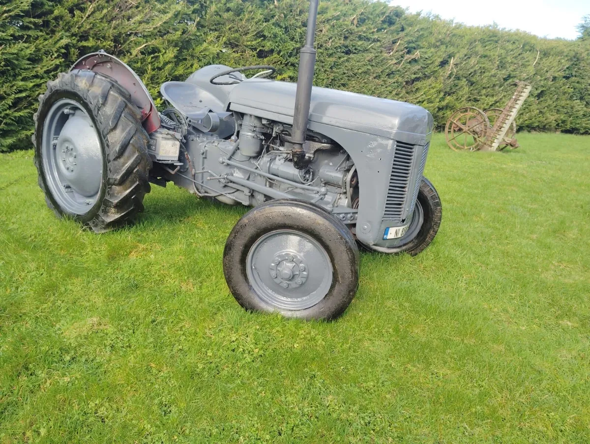 ferguson 20 diesel with taxbook - Image 3
