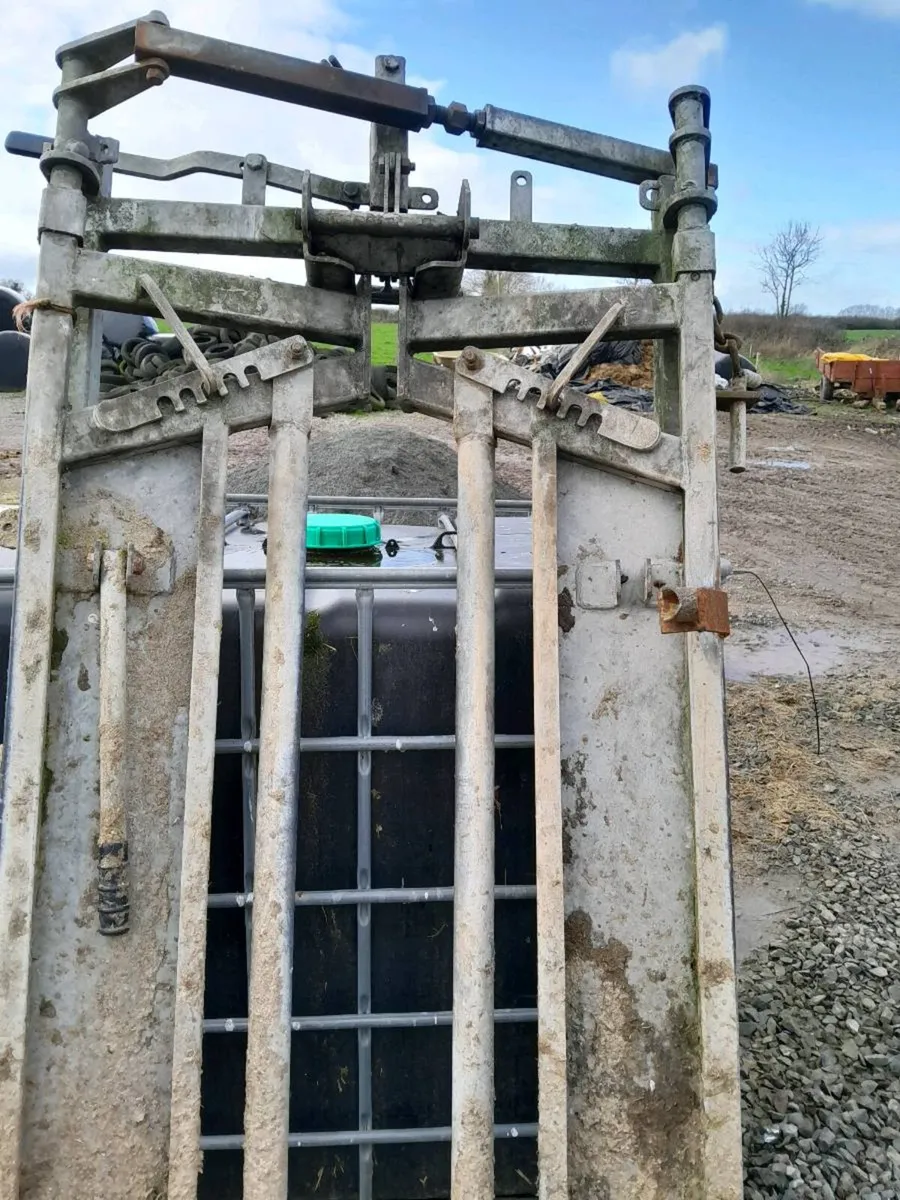 Crush gate - Image 2