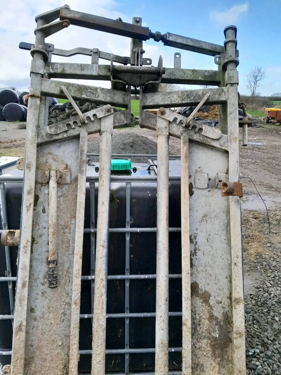 Crush gate - Image 3