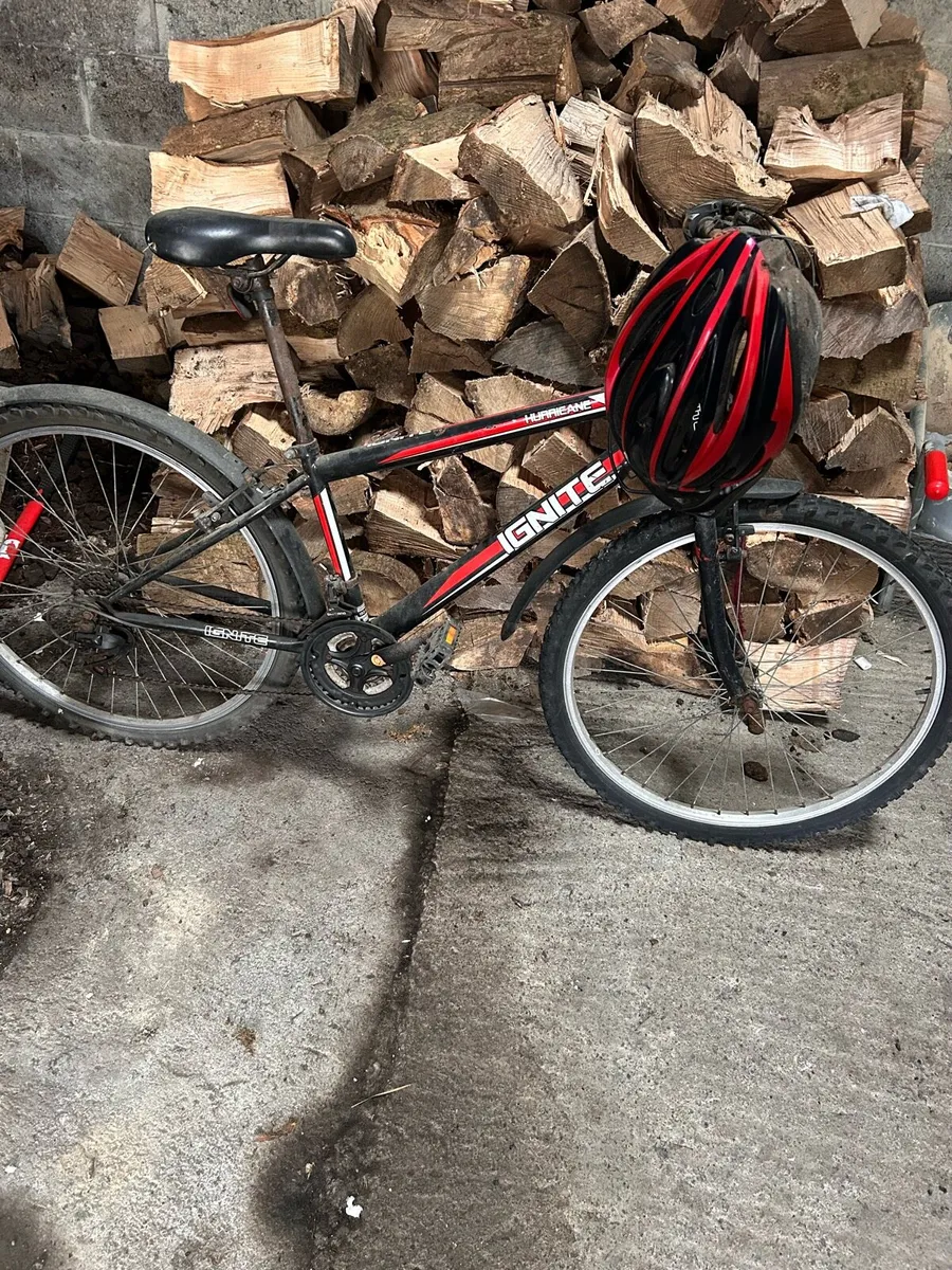 2 bikes for sale open to offers - Image 1