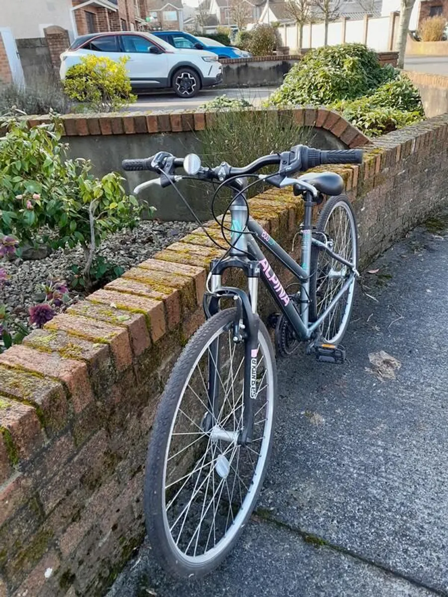 Ladies/Girls Hybrid mountain bike for sale - Image 2