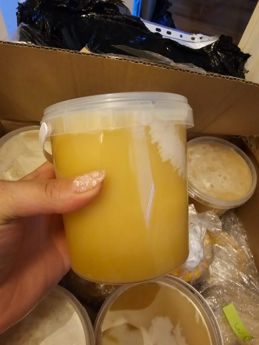 Organic Honey  directly from honey farm Lithuania - Image 1