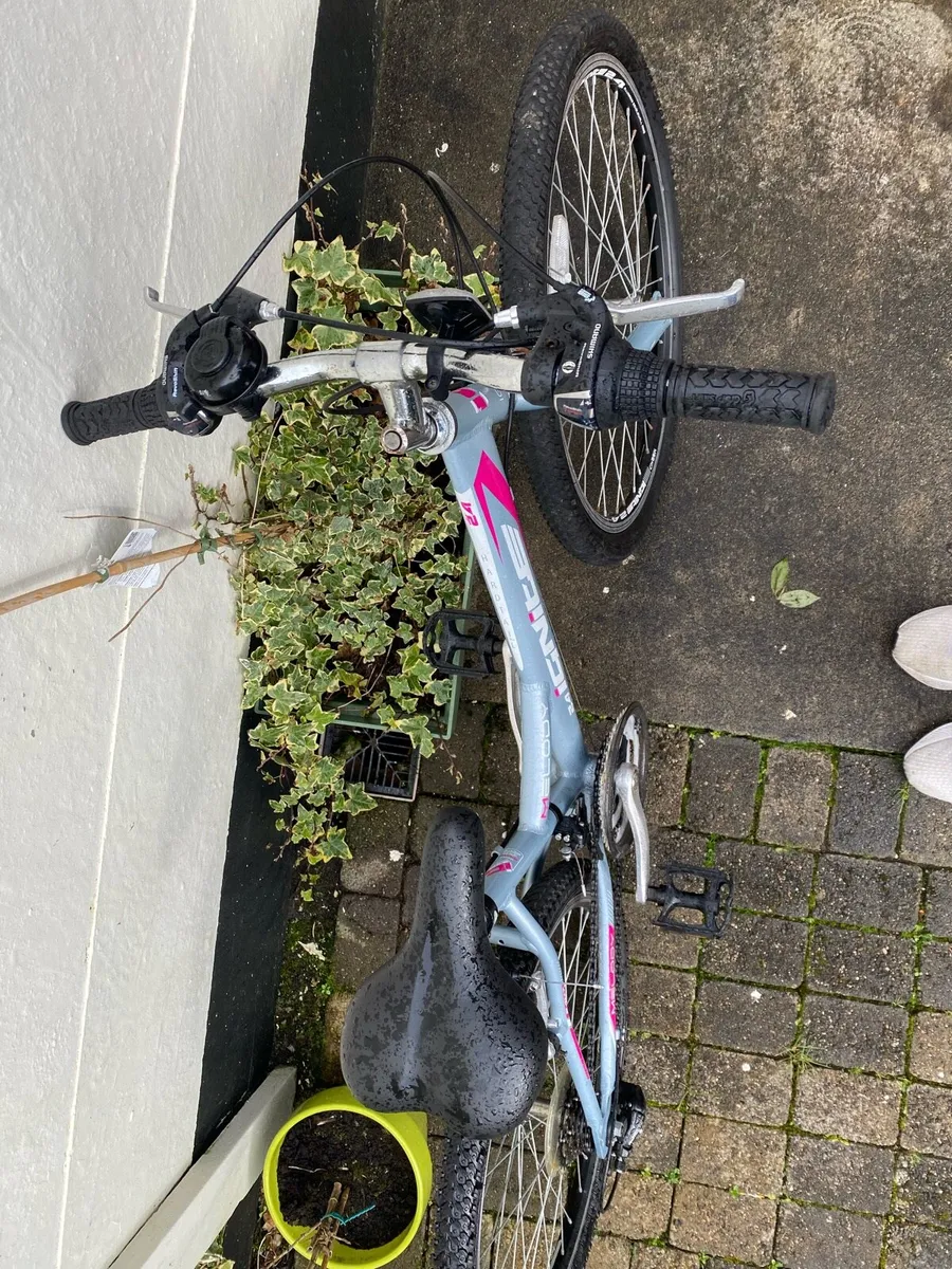 Ignite 24 Kids Bike - Image 3