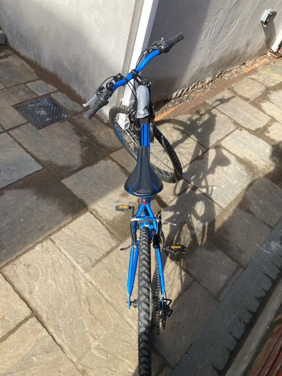 Early/mid teen's bicycle - Image 2