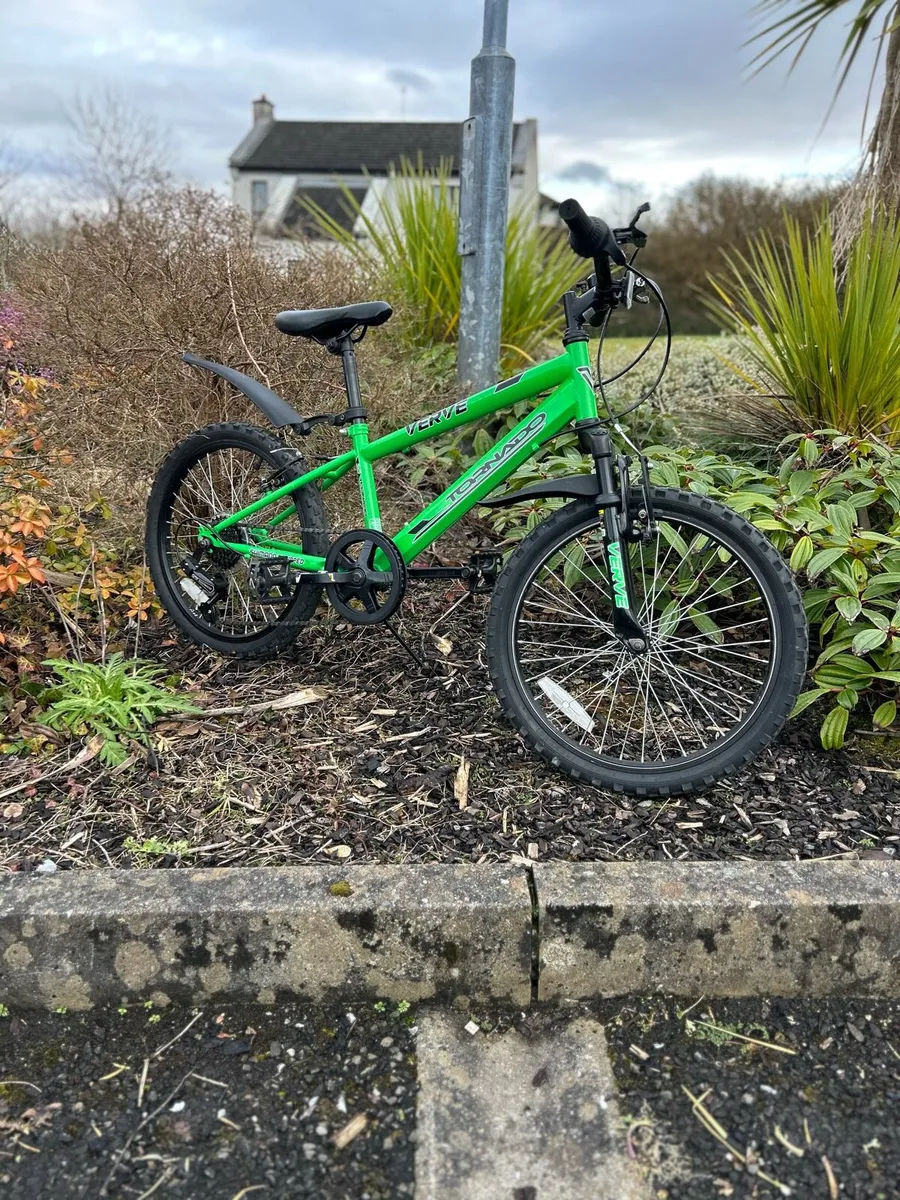 20” verve mountain bike - Image 1