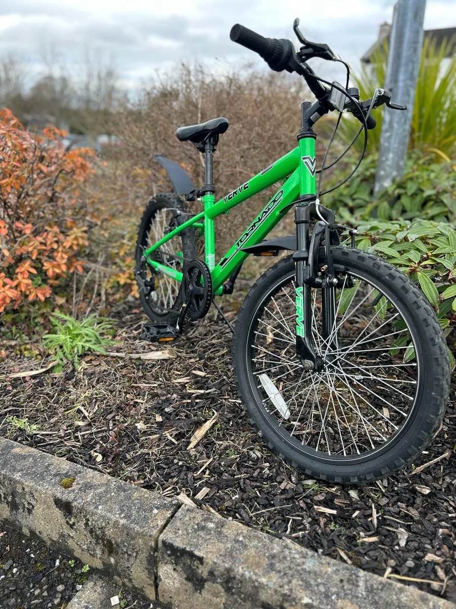 20” verve mountain bike - Image 2